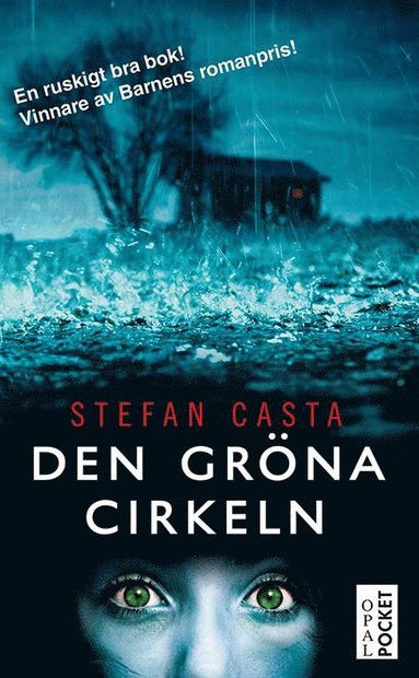 Den grna cirkeln (inbunden)