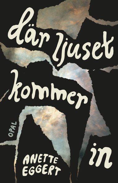 Dr ljuset kommer in (inbunden)