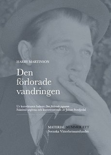 Den frlorade vandringen (storpocket)