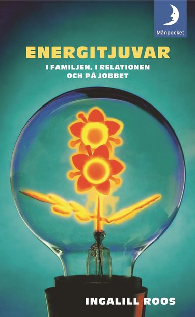 Energitjuvar : i familjen, i relationen och på jobbet (häftad)