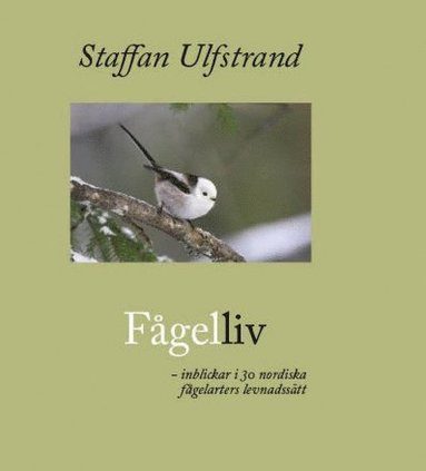 Fågelliv : inblickar i 30 nordiska fåglearters levnadssätt (häftad)