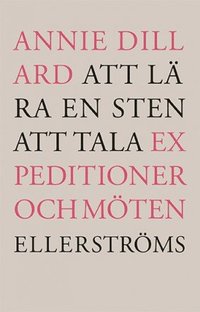 Att lra en sten att tala (hftad)