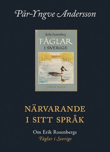 Nrvarande i sitt sprk : om Erik Rosenbergs fglar i Sverige (inbunden)