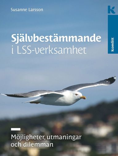 Sjlvbestmmande i LSS-verksamhet : Mjligheter, utmaningar och dilemman (inbunden)