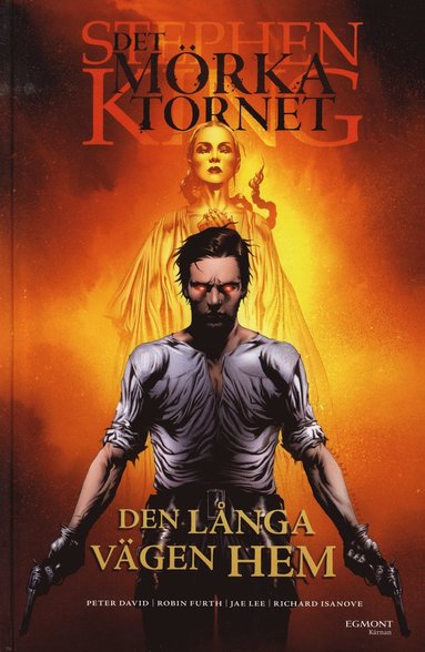 Det mrka tornet 2 - Den lnga vgen hem (pocket)
