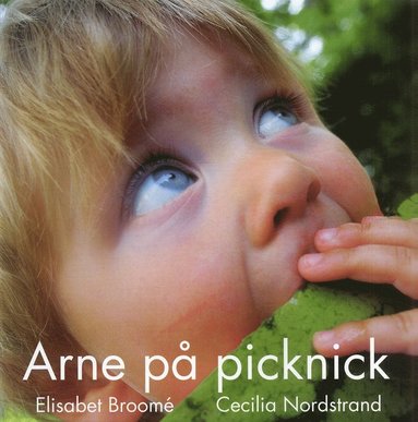 Arne p� picknick (kartonnage)