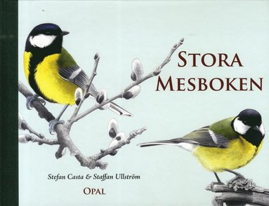 Stora mesboken (inbunden)