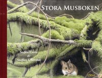 Omslag: Stora musboken