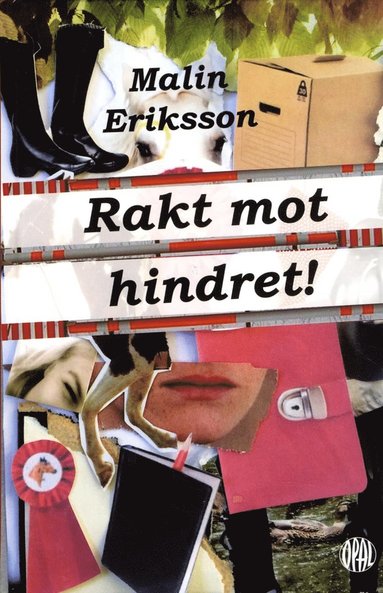 Rakt mot hindret! (kartonnage)