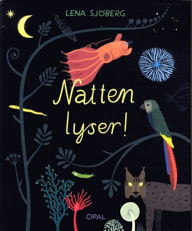 Natten lyser! (inbunden)