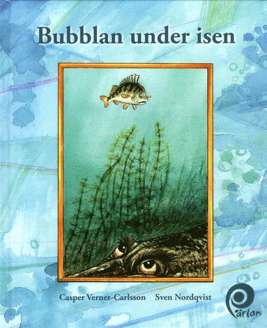 Bubblan under isen (inbunden)