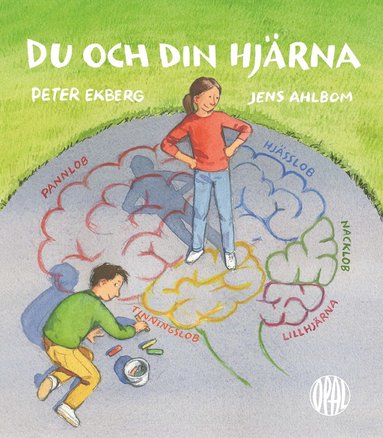 Du och din hjrna (kartonnage)