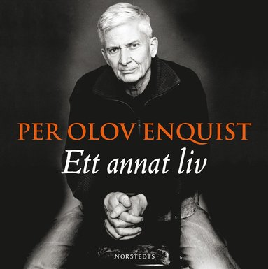 Ett annat liv (ljudbok)