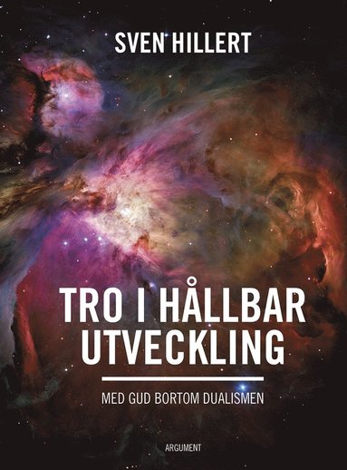 Tro i h�llbar utveckling : med gud bortom dualismen (inbunden)