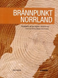 Brännpunkt Norrland : perspektiv på en region i förändring (häftad)