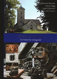 Svenska kyrkor : en historisk reseguide (inbunden)
