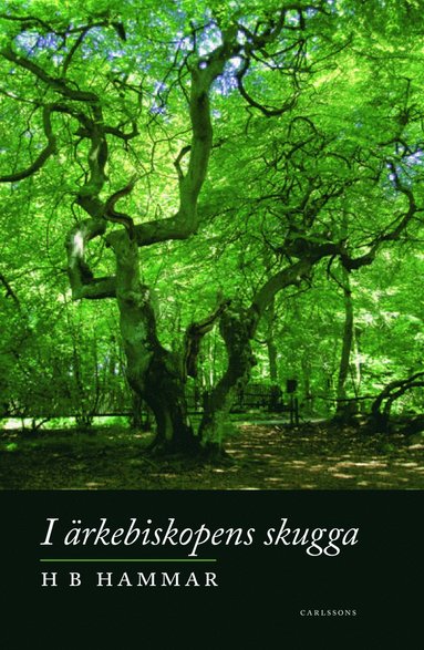 I ärkebiskopens skugga (inbunden)