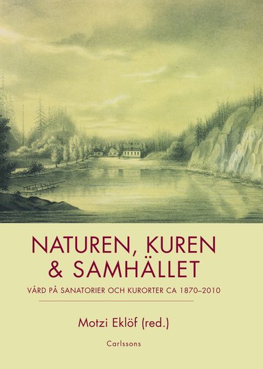 Naturen, kuren & samhllet : vrd p sanatorier och kurorter ca 1870-2010 (pocket)