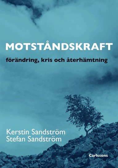 Motst�ndskraft : f�r�dning, kris och �terh�mtning (pocket)