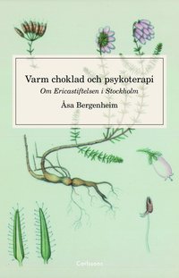 Varm choklad och psykoterapi : om Ericastiftelsen Stockholm (inbunden)