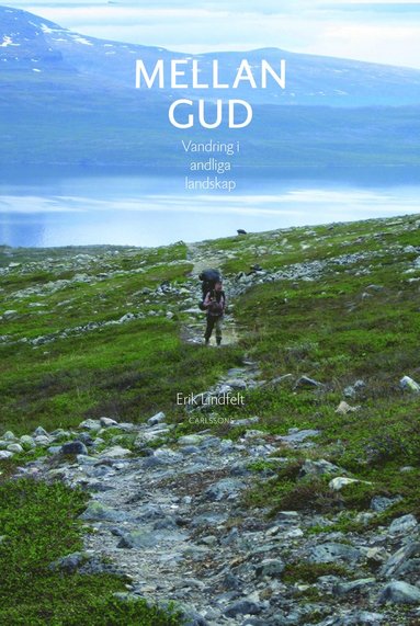 Mellan Gud : vandring i andliga landskap (pocket)