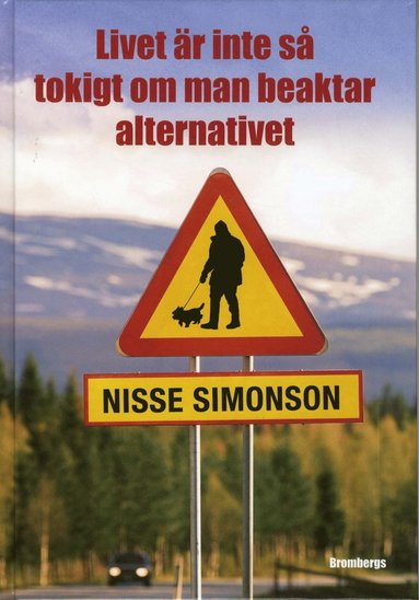 Livet är inte så tokigt om man beaktar alternativet (häftad)