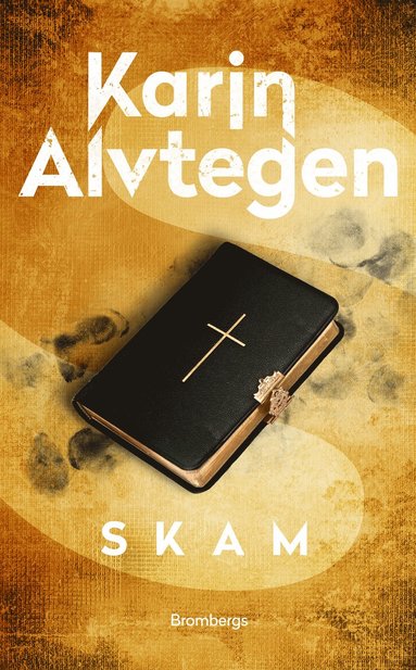 Skam (e-bok)
