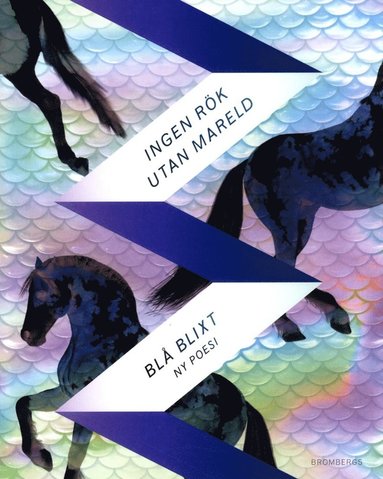Ingen rk utan mareld : poesiantologin Bl blixt (pocket)