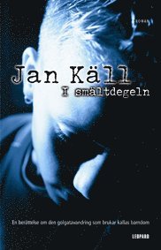I smltdegeln (inbunden)