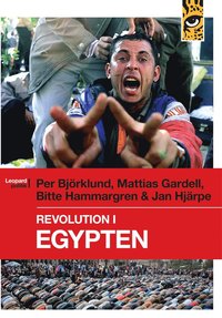 Revolution i Egypten (e-bok)