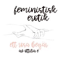 Ett rosa begr - Feministisk erotik (ljudbok)