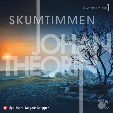 Skumtimmen (storpocket)