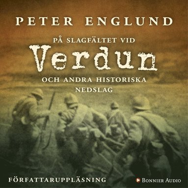 P slagfltet vid Verdun (ljudbok)