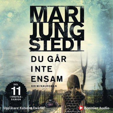 Du gr inte ensam (e-bok)