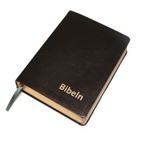 Bibeln svart skinn (inbunden)