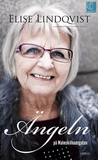 �ngeln p� Malmskillnadsgatan (pocket)