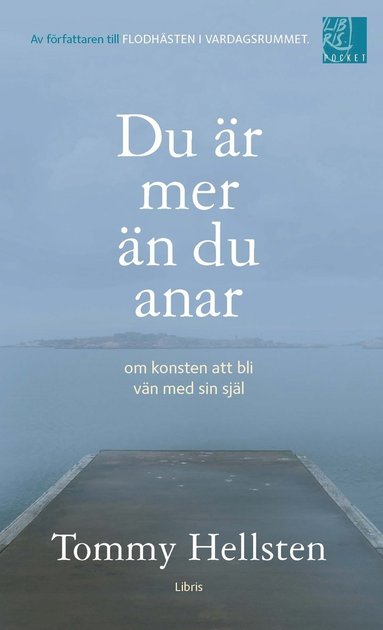 Du r mer n du anar : om konsten att bli vn med sin sjl (hftad)