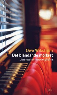 Det blndande mrkret : Att upptcka den stora gldjen (pocket)