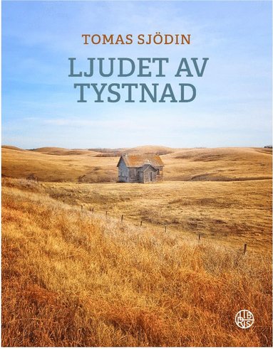 Ljudet av tystnad (pocket)