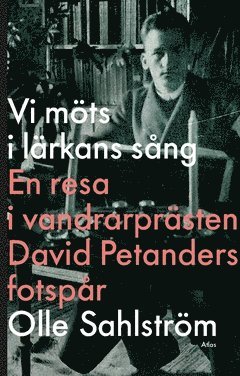Vi mts i lrkans sng : en resa i vandrarprsten David Petanders fotspr (pocket)