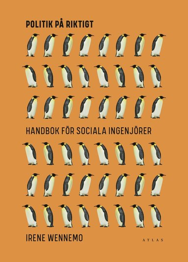 Politik p� riktigt : handbok f�r sociala ingenj�rer (inbunden)