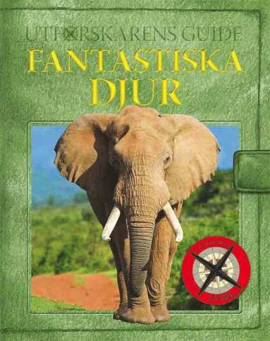 Utforskarens guide : fantastiska djur (kartonnage)