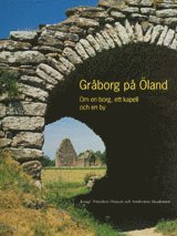 Gråborg på Öland : om en borg, ett kapell och en by (inbunden)
