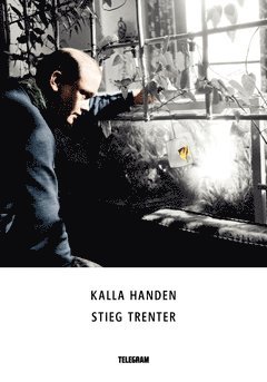 Kalla handen (hftad)