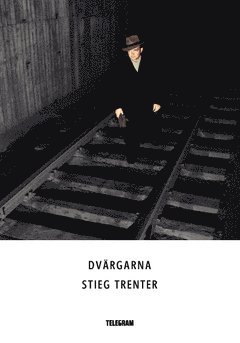 Dvrgarna (hftad)