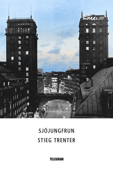 Sjjungfrun (e-bok)