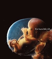 Ett barn blir till (inbunden)