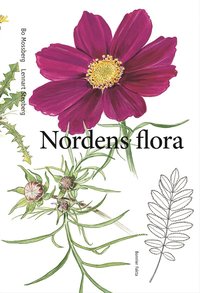 Nordens flora som bok, ljudbok eller e-bok.