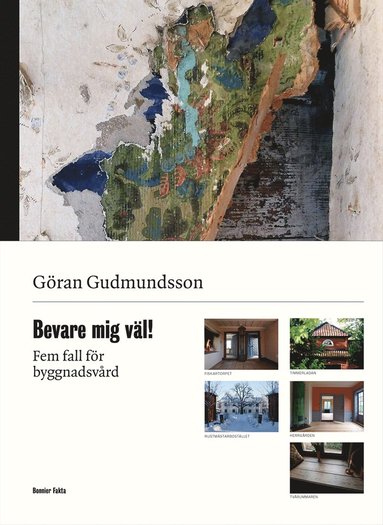 Bevare mig vl! : fem fall fr byggnadsvrd (hftad)