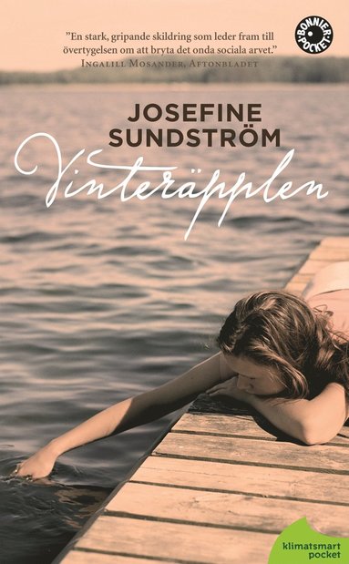 Vinterpplen (pocket)